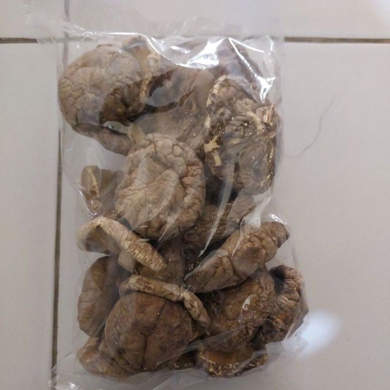 

JAMUR PAYUNG 100 Gr