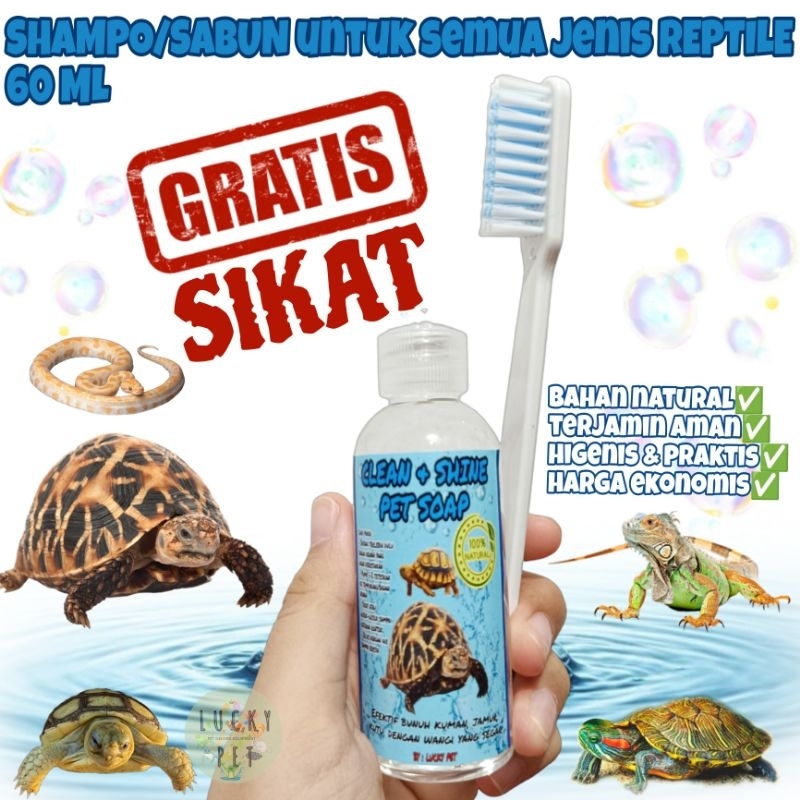 ❗GRATIS SIKAT❗CLEAN&SHINE sabun sampo shampo mandi hewan reptil kura kura darat torto sulcata sulkat