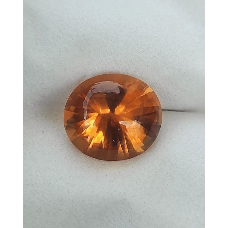 KECUBUNG MADU API, KECUBUNG KUYIT, KECUBUNG ORANGE, KECUBUNG ASLI BORNEO