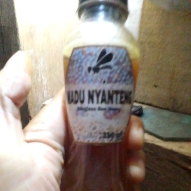 Madu Trigona/Lebah Trigona/Kelanceng
