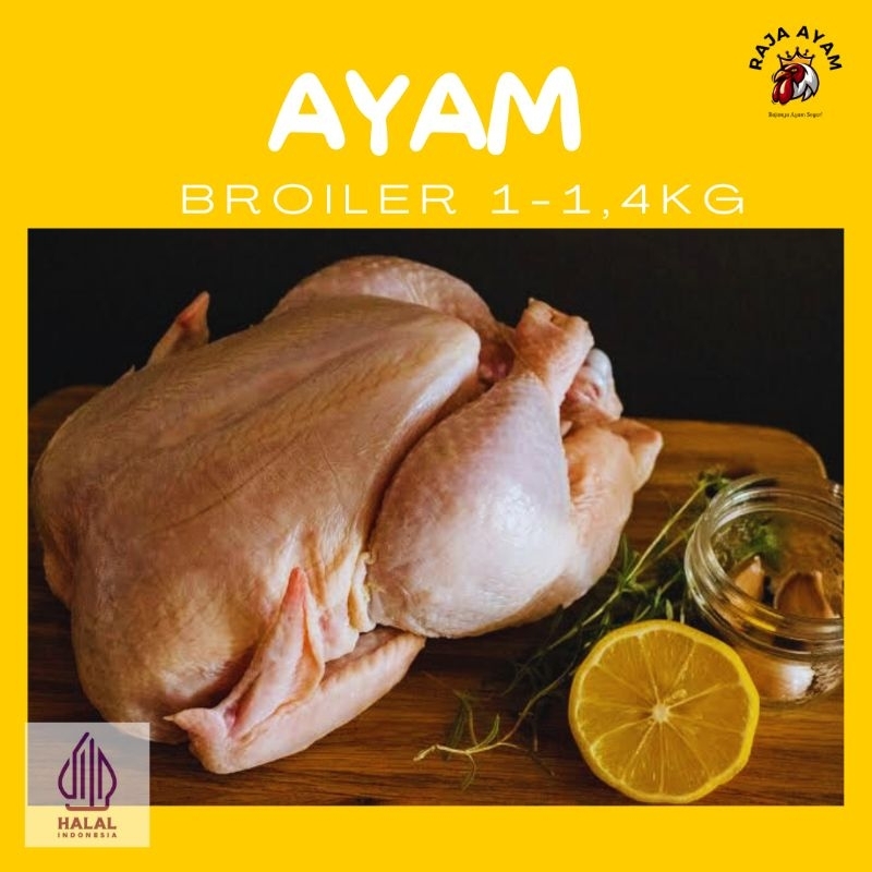 

AYAM BROILER KARKAS 1-1,4KG
