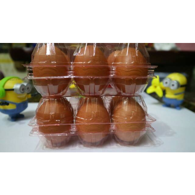 

HS MIKA TRAY TELUR 6 lubang