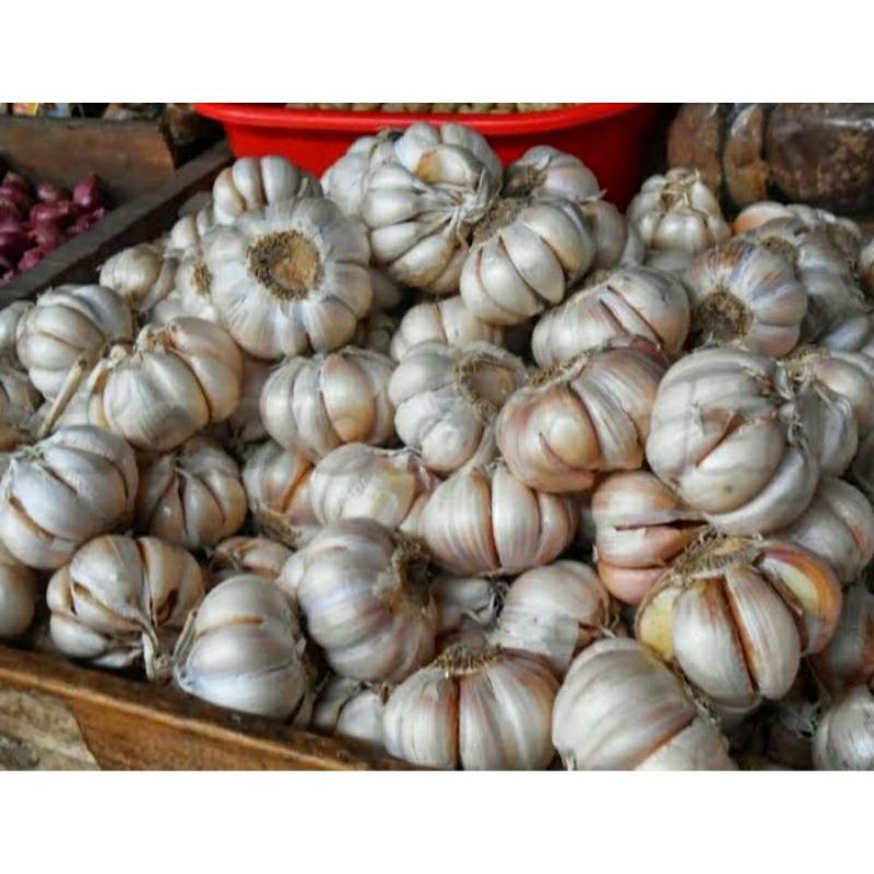 

bawang putih fresh 1kg
