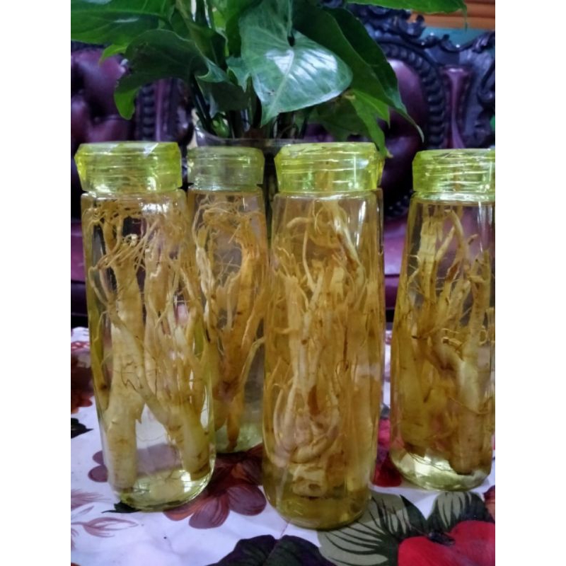 

Gingseng merah Korea + botol kristal 500ml