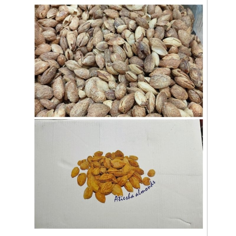 

Almond Cangkang Rasa Susu Exp terbaru Terbaru 2025