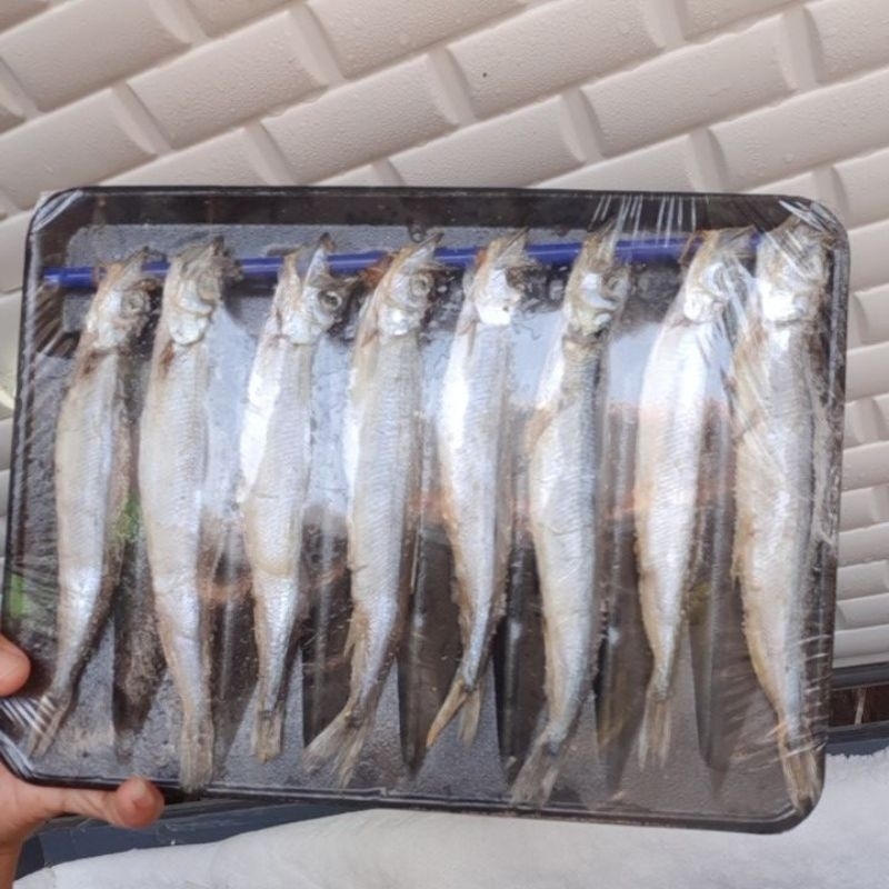 

ikan shisamo atau ikan cipung bertelur isi 8pc
