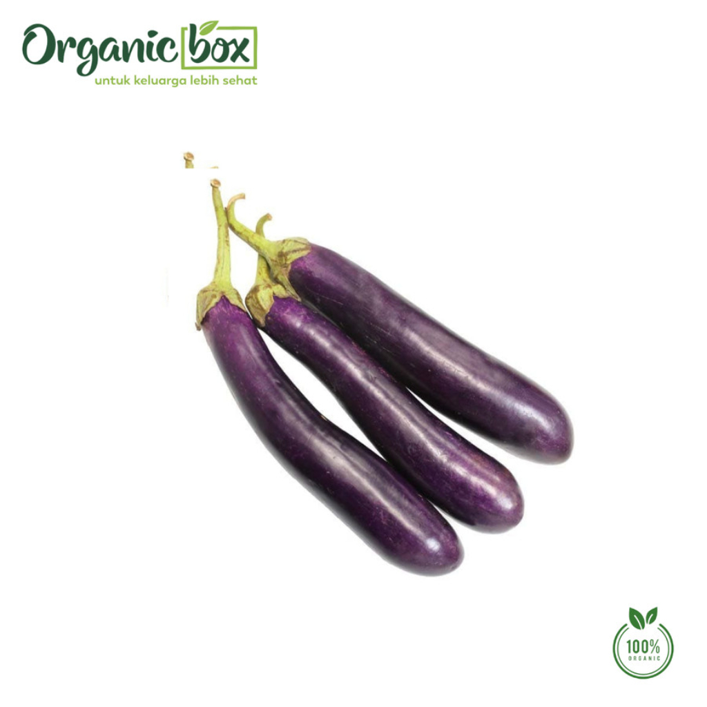 

TERONG UNGU ORGANIK 500GR Quality Farm