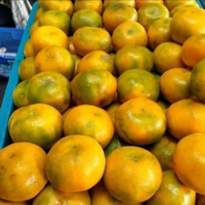 

Jeruk manis berkualitas 1kg