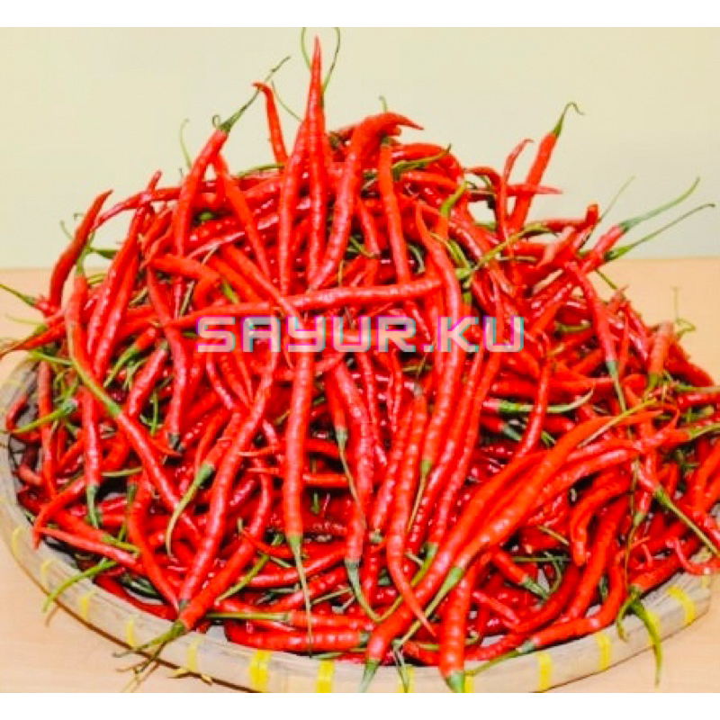 

CABE MERAH KRITING 100g / SAYUR ONLINE MEDAN