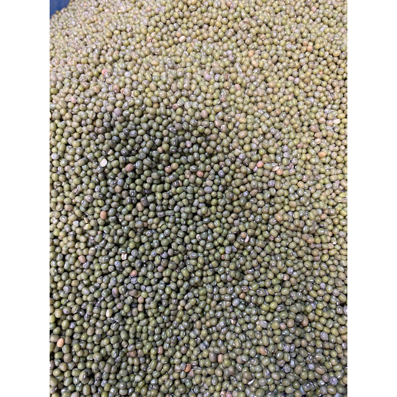 

kacang ijo