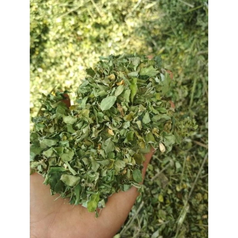 

daun kelor kering 100gram/free packing