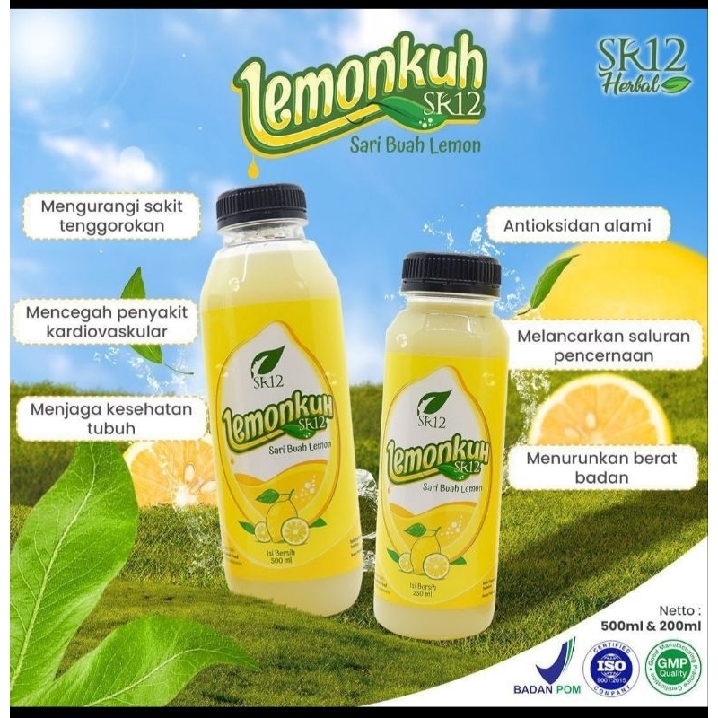 

lemonkuh SR12