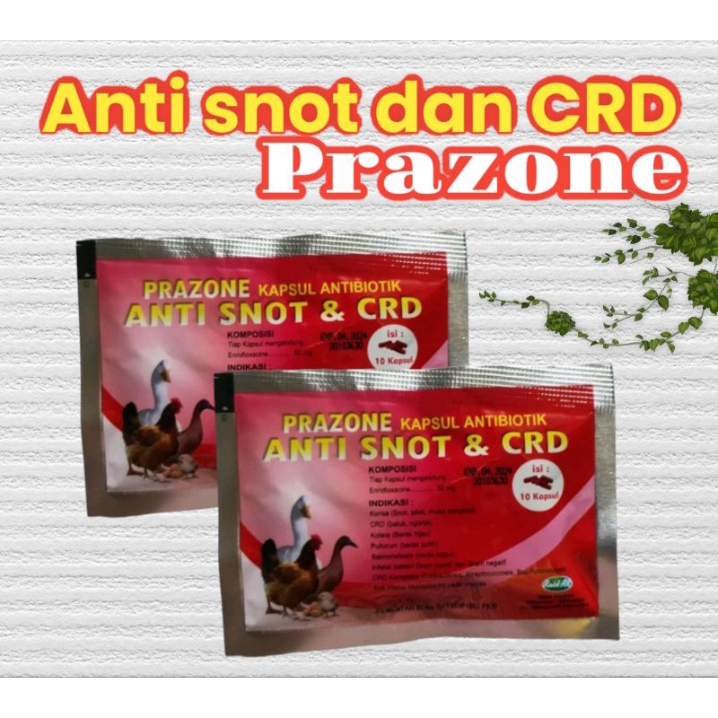 obat pilek snot CRD ayam bebek unggas puyuh raid all
