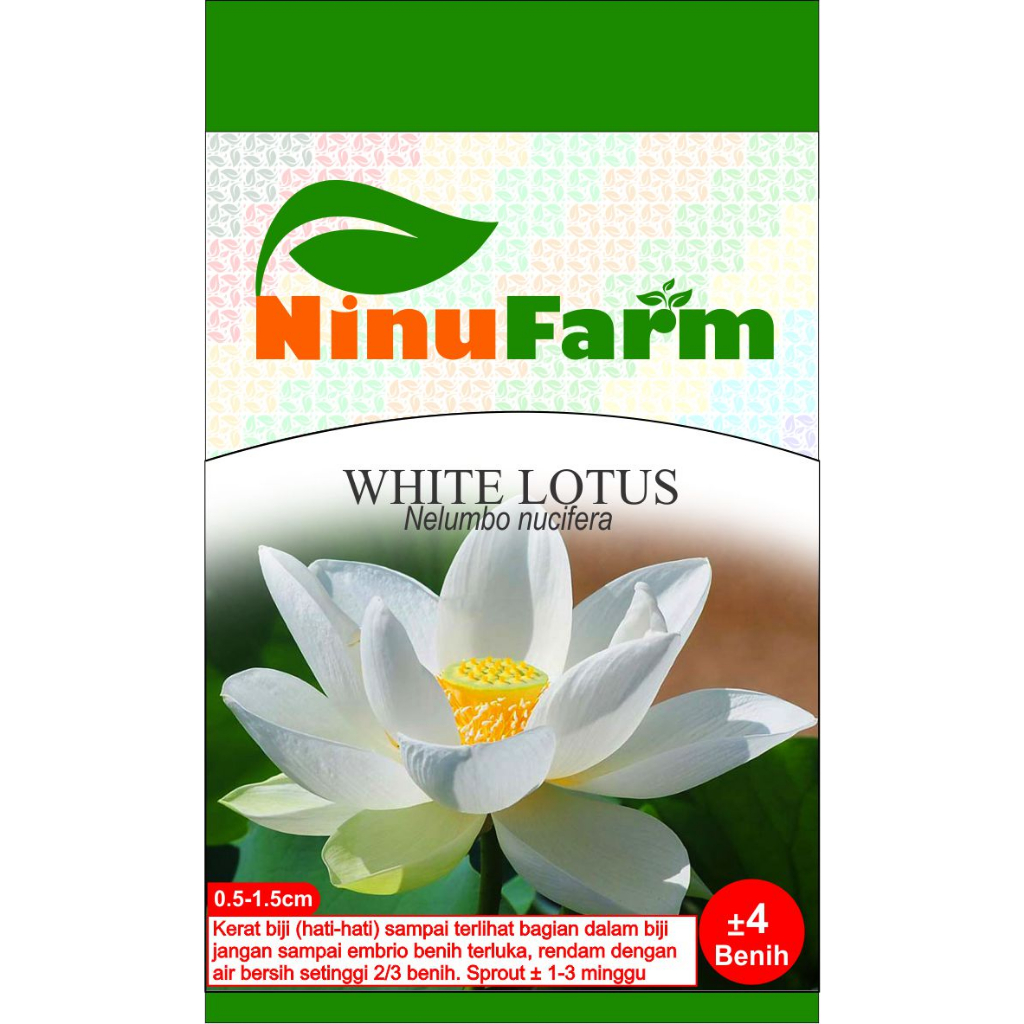 

Benih White Lotus 4Seeds
