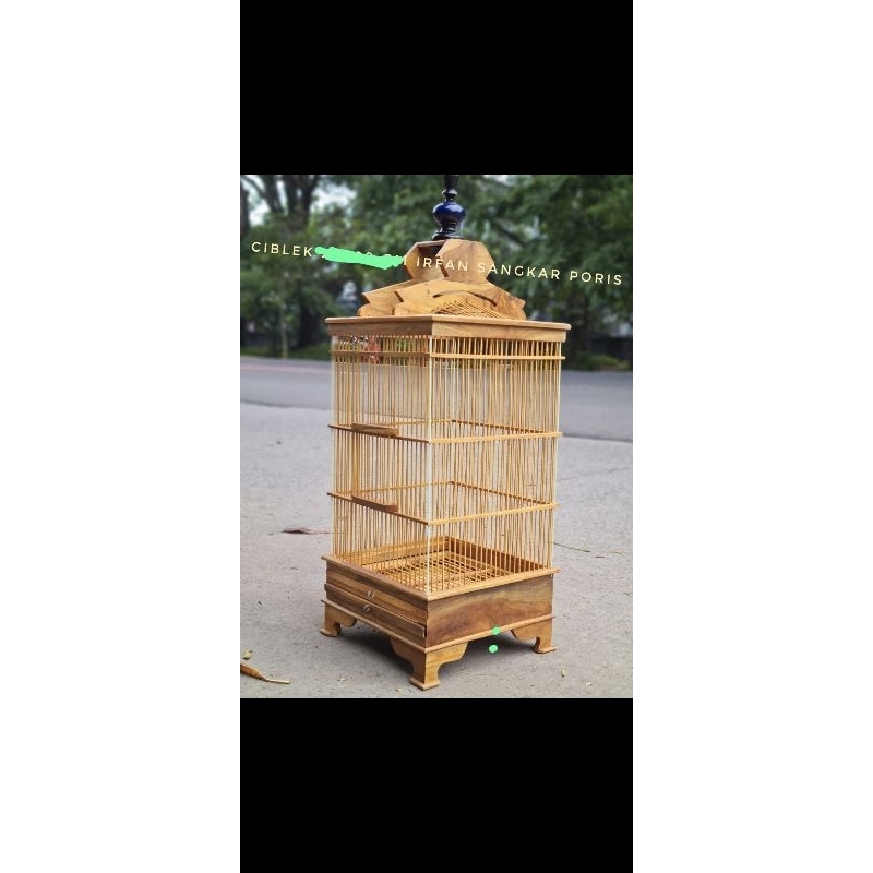 sangkar ciblek plituran