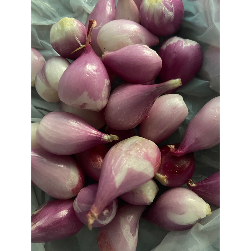 

BAWANG MERAH BREBES KUPAS