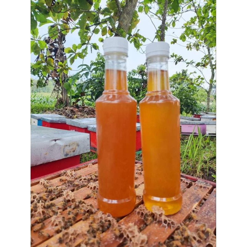 

Madu Murni Kaliandra/Madu Mentah Tanpa Campuran,Madu Ternak Petani Pilihan 500 gram