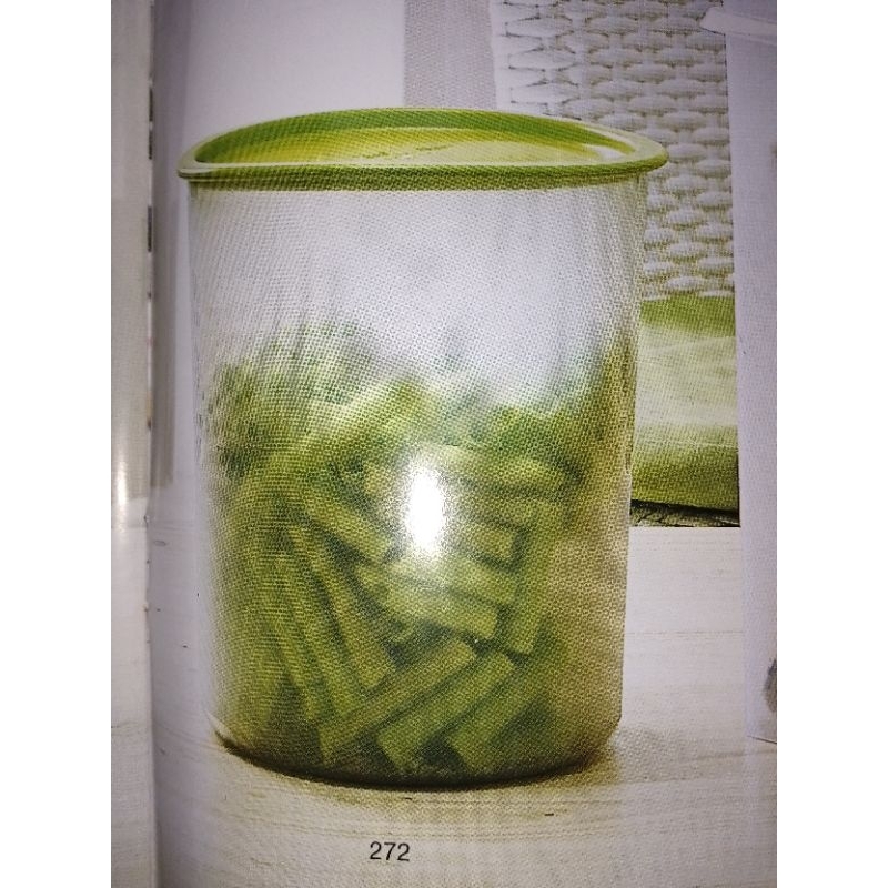 tupperware medium mosaic canister