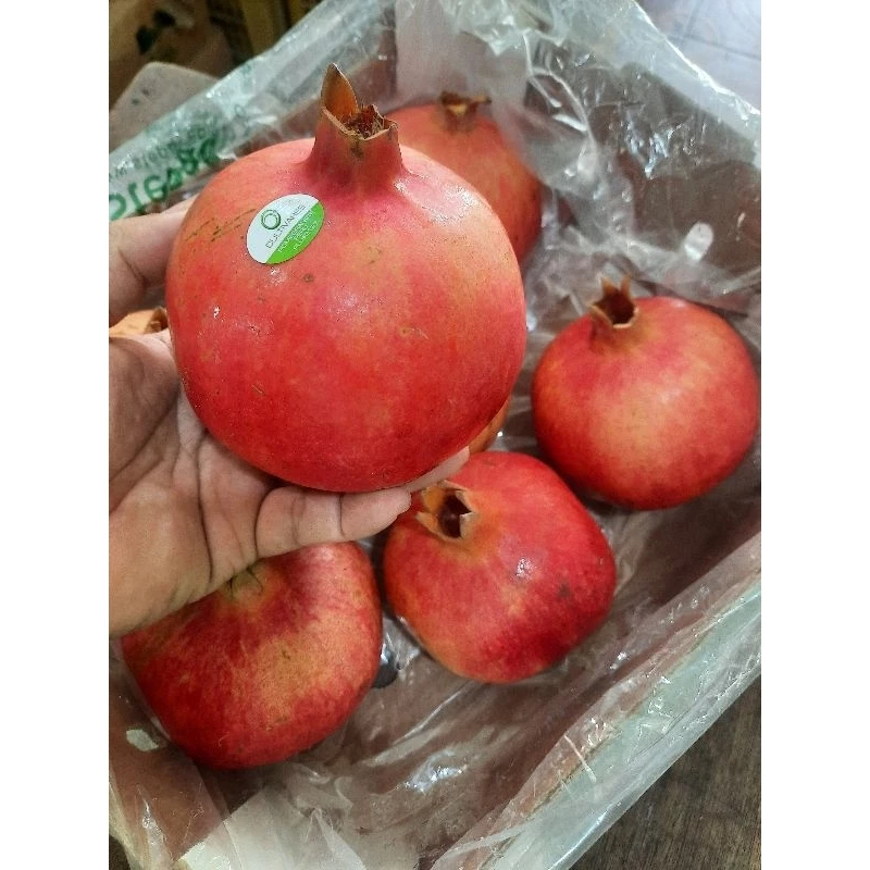

BUAH DELIMA IMPORT PER BIJI SURABAYA BEST SELLER