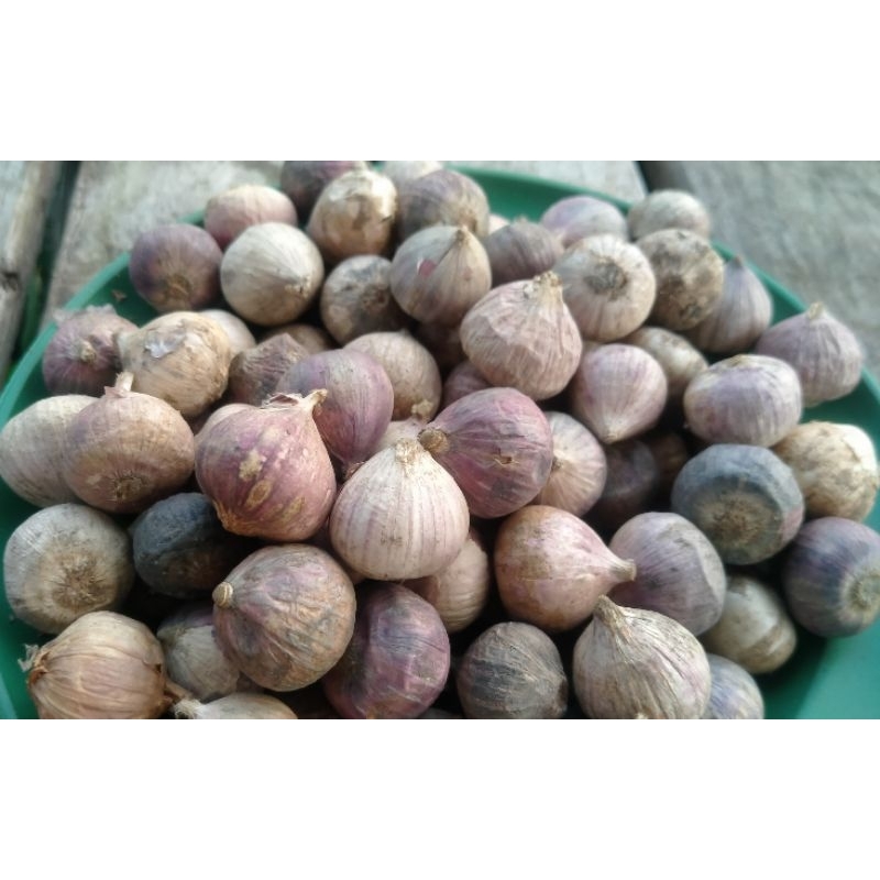 

Bawang Putih Tunggal Import Kemasan 500gr / ½Kg Bersih Siap Konsumsi