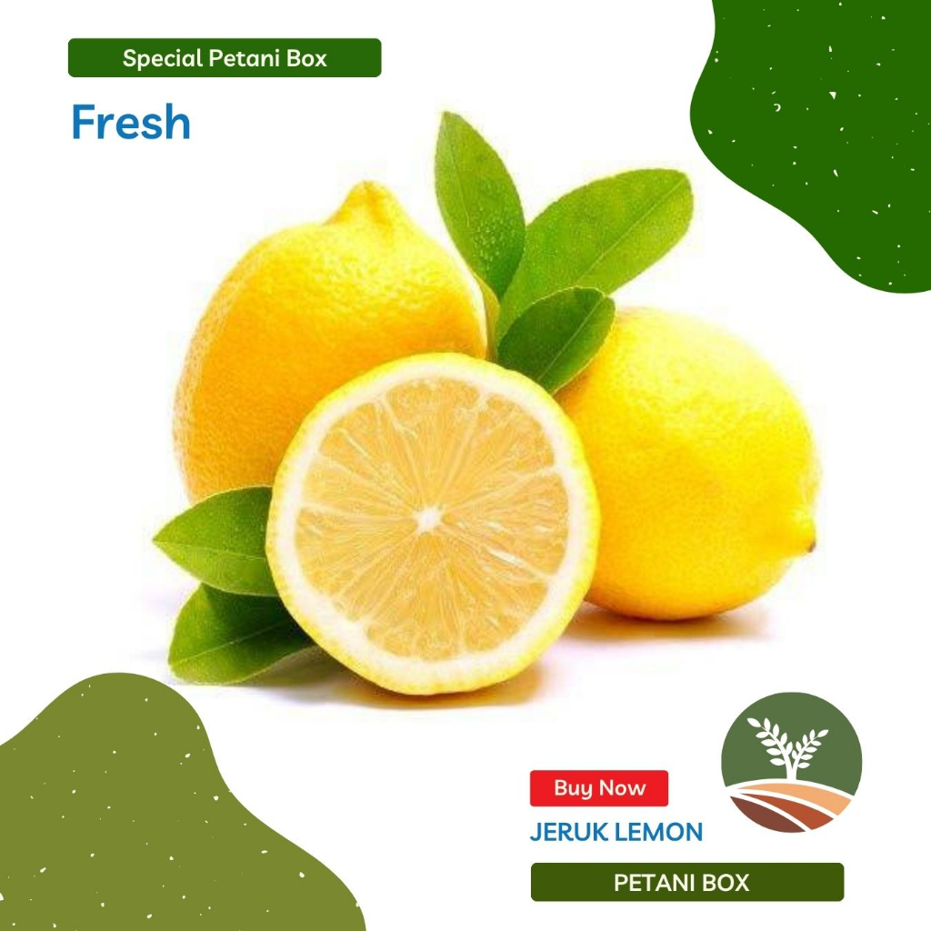 

Jeruk Lemon 1Kg Petani Box