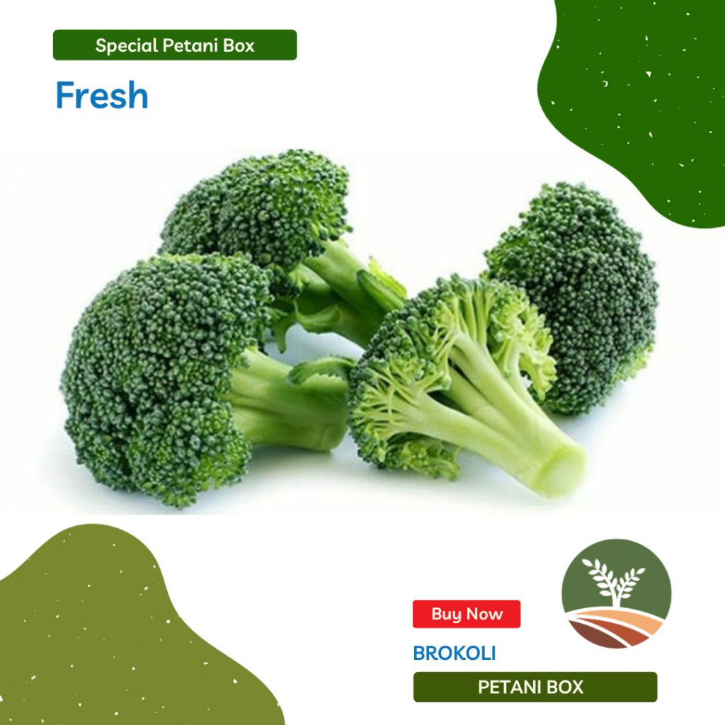 

Sayur Brokoli 1Kg Petani Box
