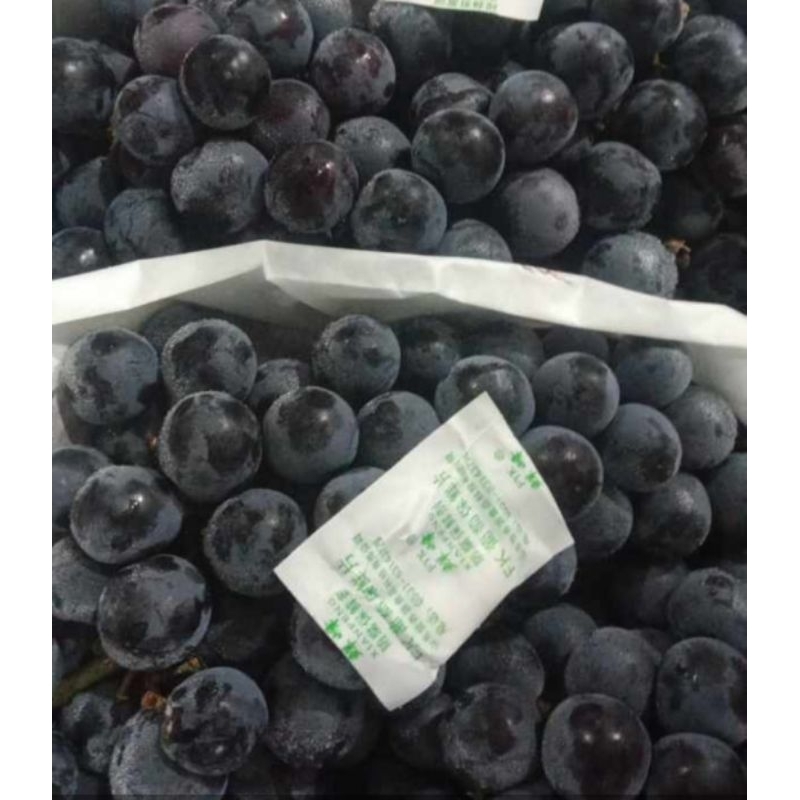 

[OBRAL] Anggur Black Autumn 1 Kg