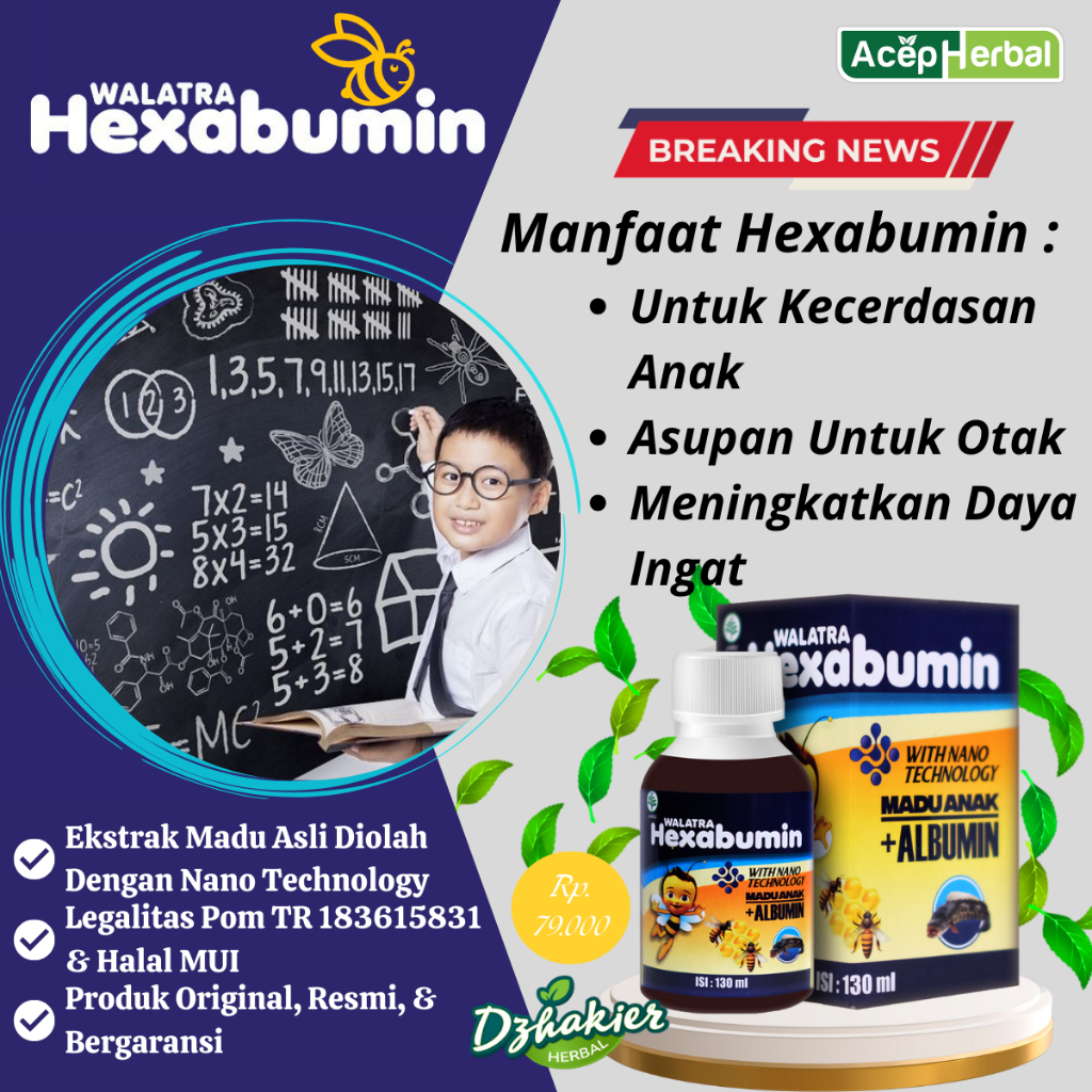 

Madu Untuk Kecerdasan Anak, Asupan Vitamin Untuk Otak, Meningkatkan Daya Ingat Dengan Walatra Hexabumin