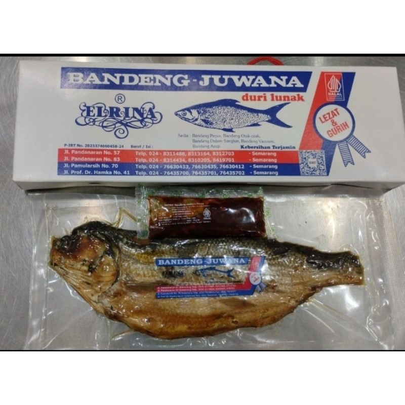

bandeng juwana Semarang
