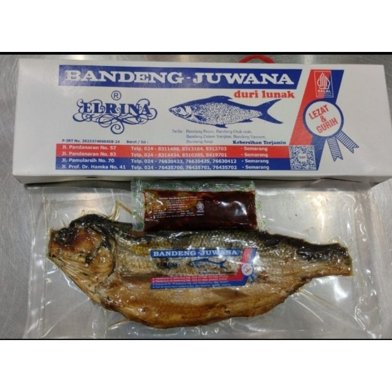 bandeng juwana Semarang