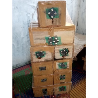 TERMURAH PROMO KLANCENG SARANG LEBAH LANCENG KOLONI LEVI BEEKEEPERS BEEKEEPING KOTAKAN STUUP TAWON