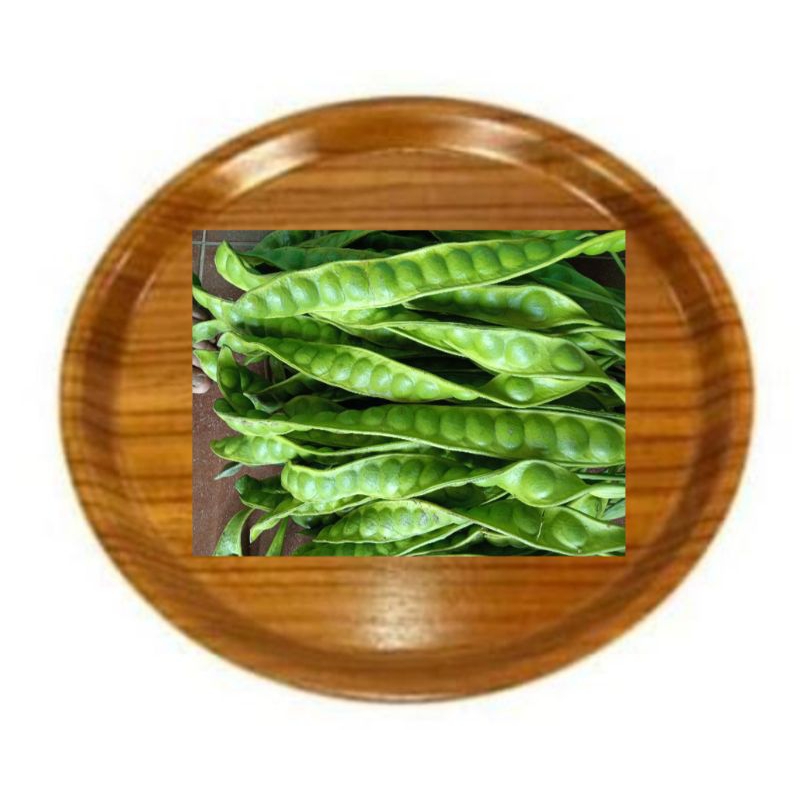 

pete pendek 20 papan