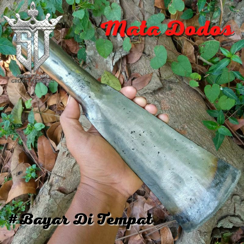 DODOS SAWIT / DODOS TANAH / LEMPAK / MATA LINGGIS