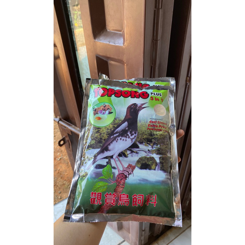 topsong coklat pakan murai batu