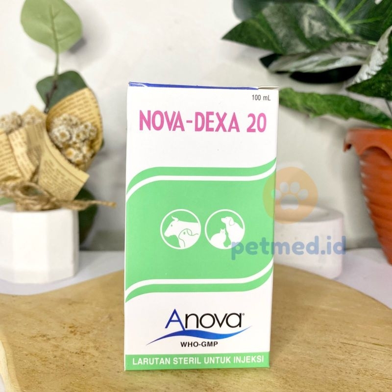 Nova Dexa inj 100 mL seperti glucortin