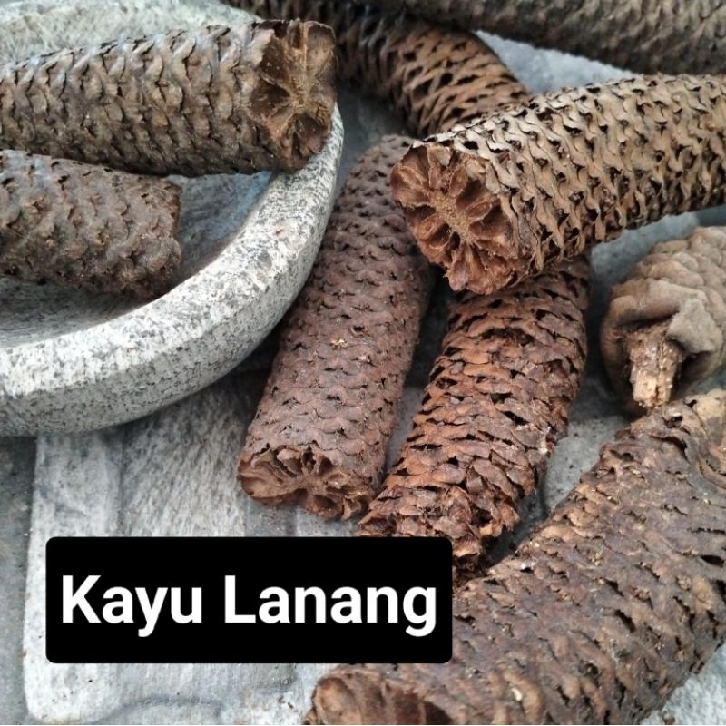 

Kayu Lanang