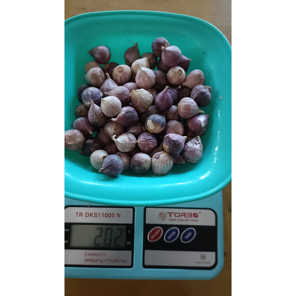 

BAWANG PUTIH TUNGGAL/LANANG SIZE KECIL KEMASAN 200 Gram