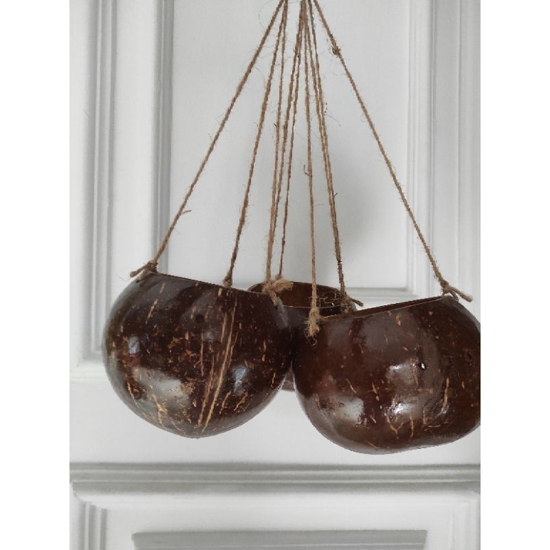Pot Batok Kelapa / Pot Batok Gantung