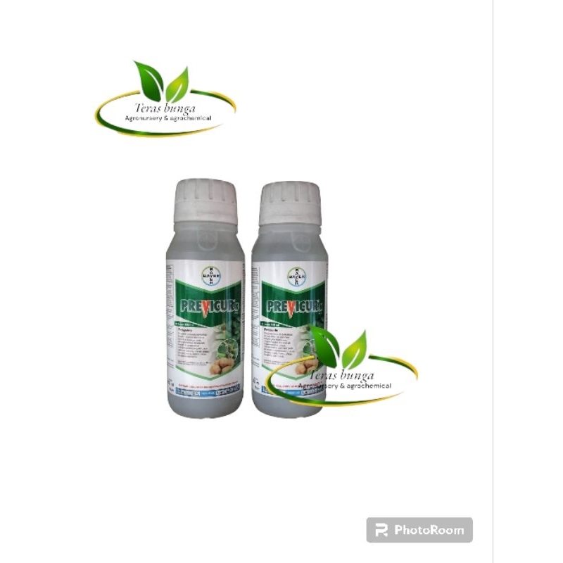 fungisida previcur 722SL 100ml