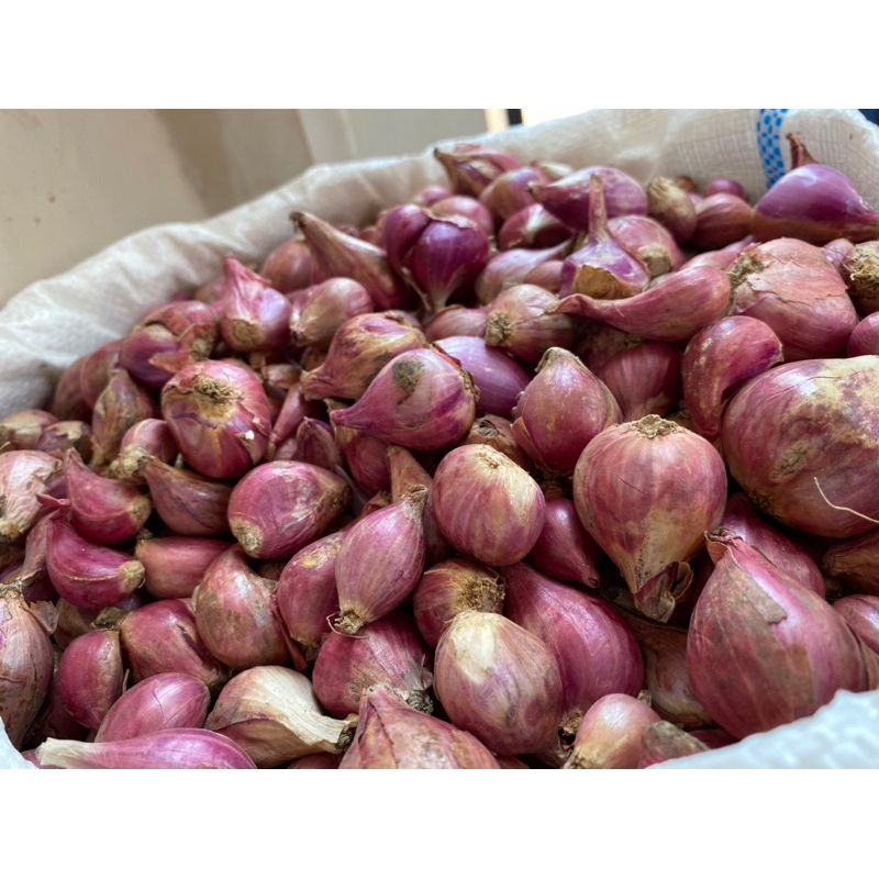 

Bawang Merah Brebes murah