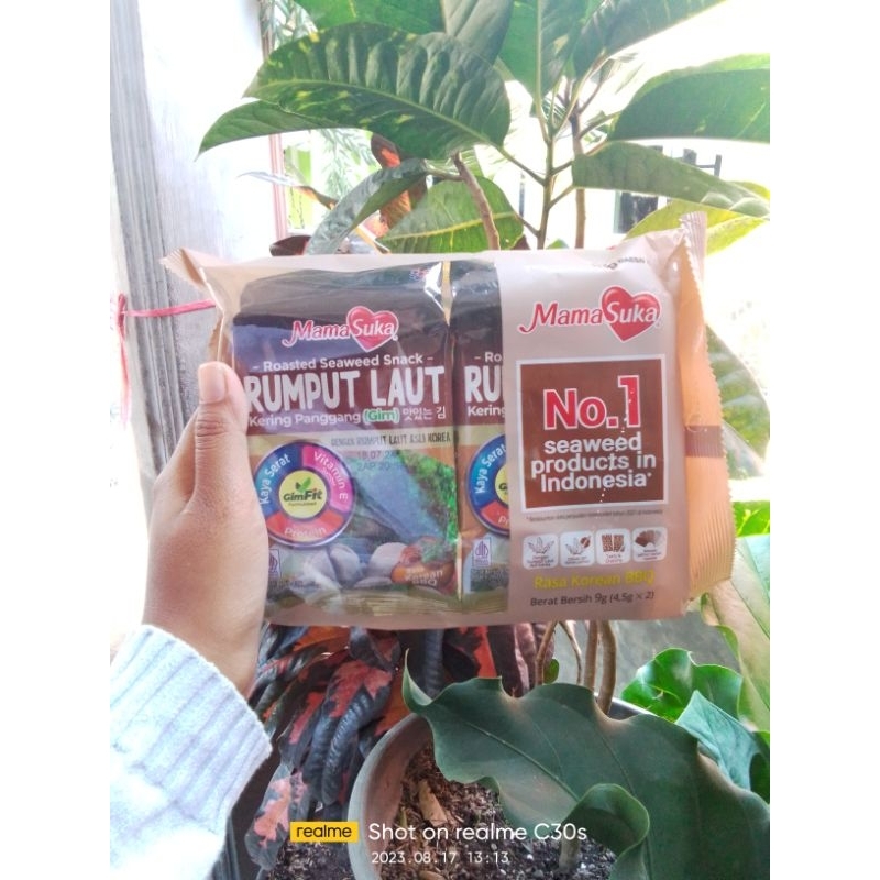

rumput laut mamasuka isi 2