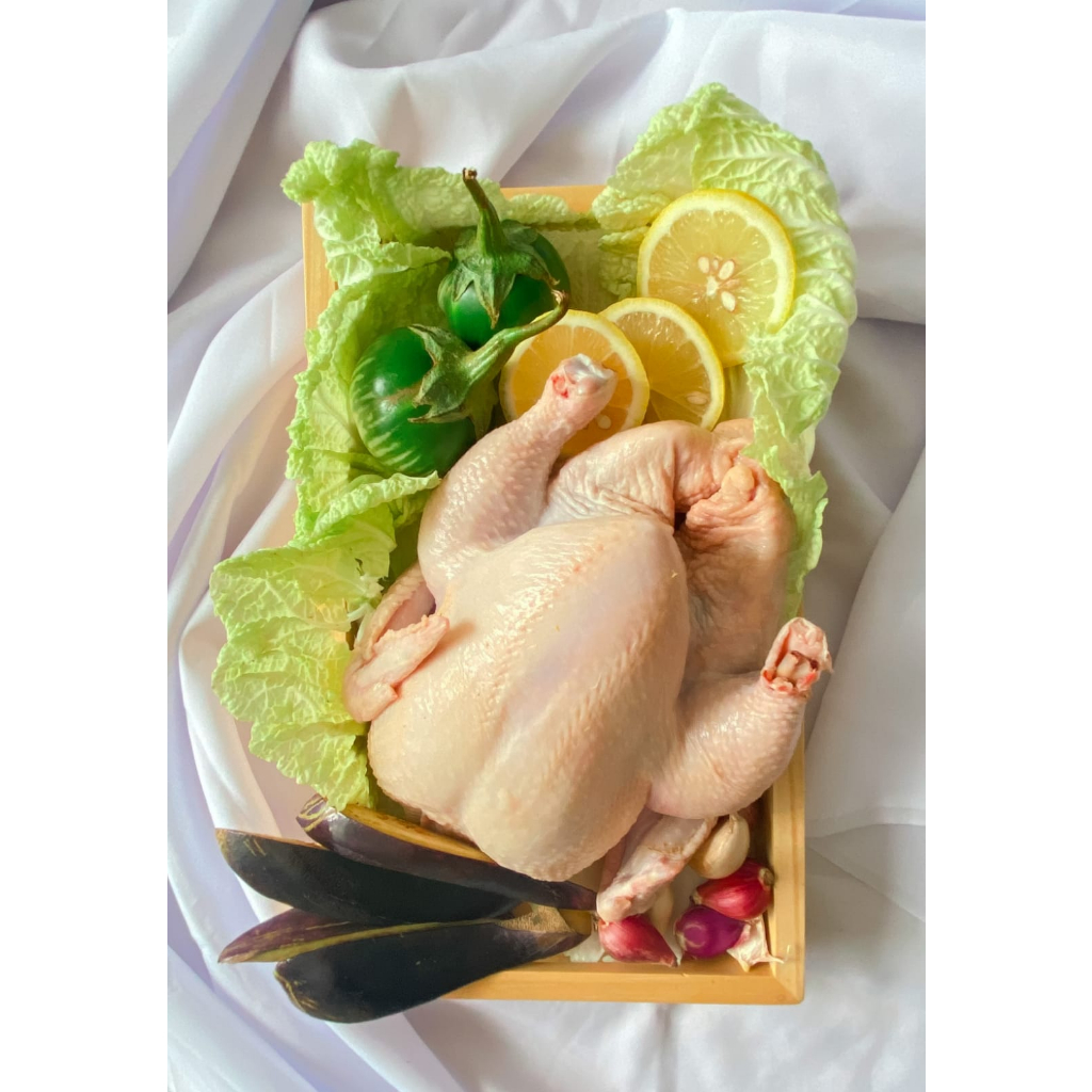 

Ayam Broiler 1 ekor