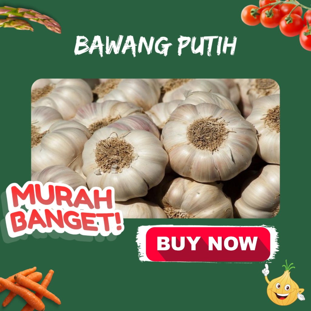 

Bawang Putih Berkwalitas dan murah