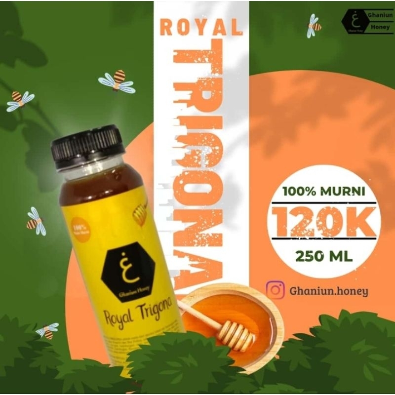 

MADU TRIGONA 250 ML/ Madu Murni/ Madu Hutan/ Madu Asli/ Madu Makassar/ Ready Makassar Gowa/ Madu Trigona