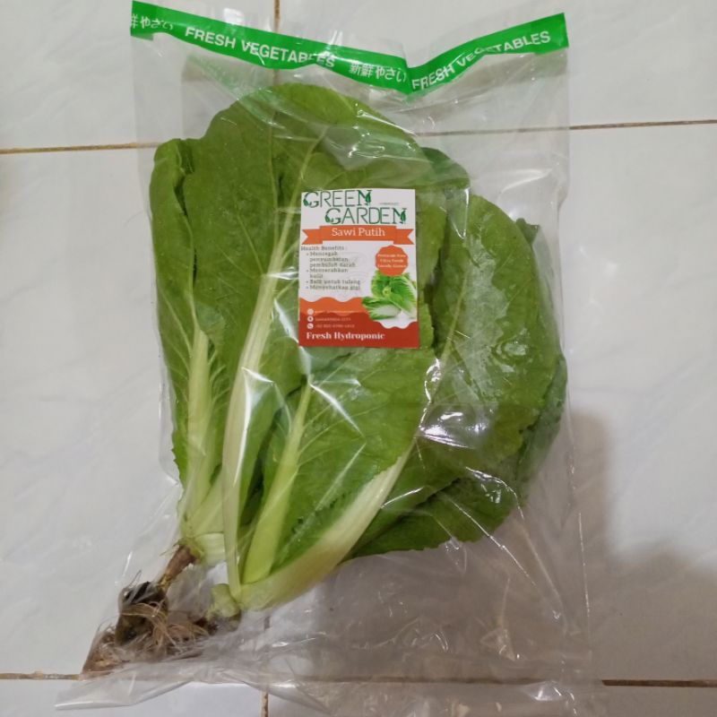

Sawi Putih Hidroponik Organic | Green Garden |