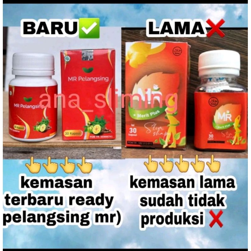 obat pelangsing MR BPOM original Penurun Berat Badan Herbal Detox