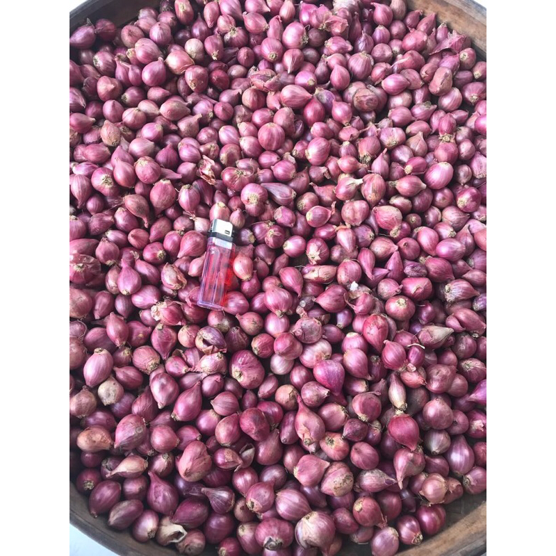 

BAWANG MERAH UKURAN KECIL 1 KG