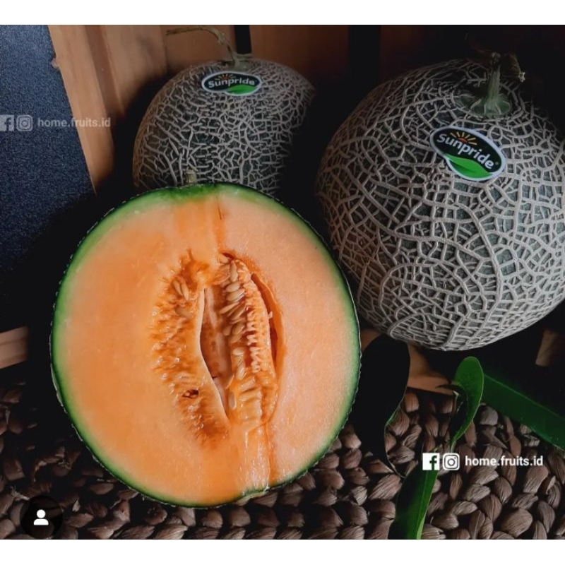 

Rock melon 1 butir