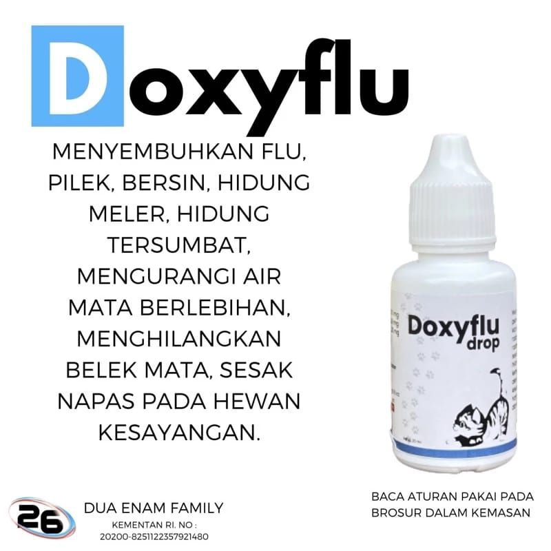 DOXYFLU obat flu kucing pilek bersin