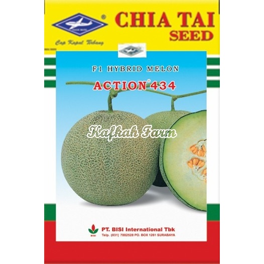Benih 2 Biji Melon ACTION 434 F1